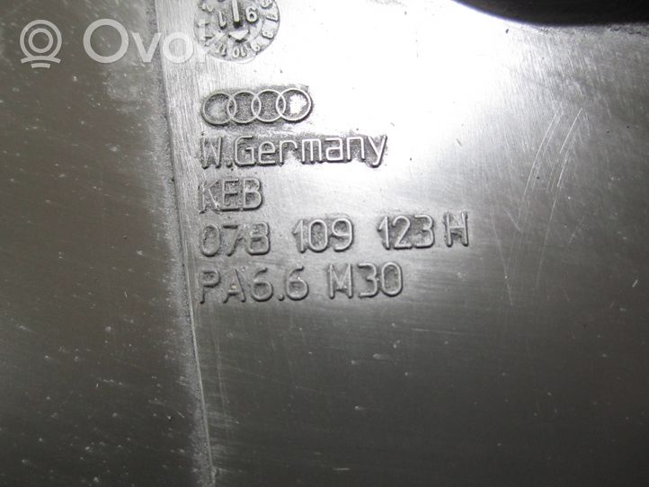 Audi A6 S6 C4 4A Protezione cinghia di distribuzione (copertura) 078109123H
