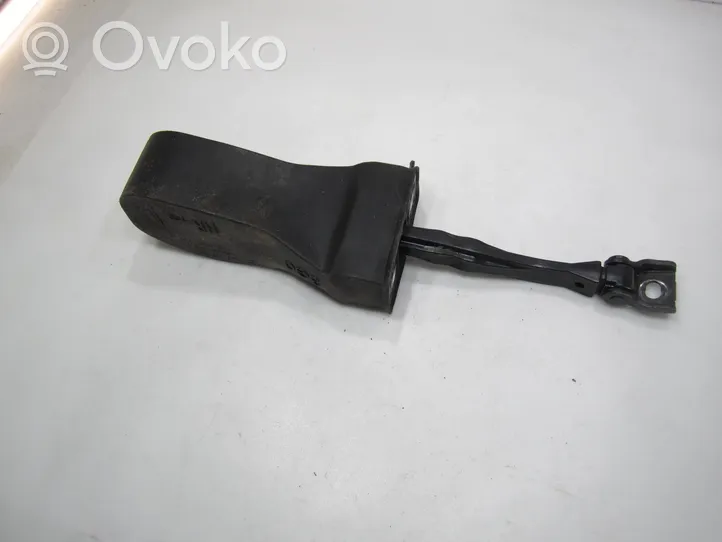 Volkswagen PASSAT B8 Rear door check strap stopper 3G5839249B