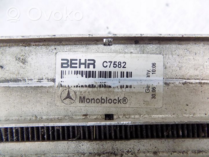 Mercedes-Benz B W245 Radiateur de refroidissement A1695001304