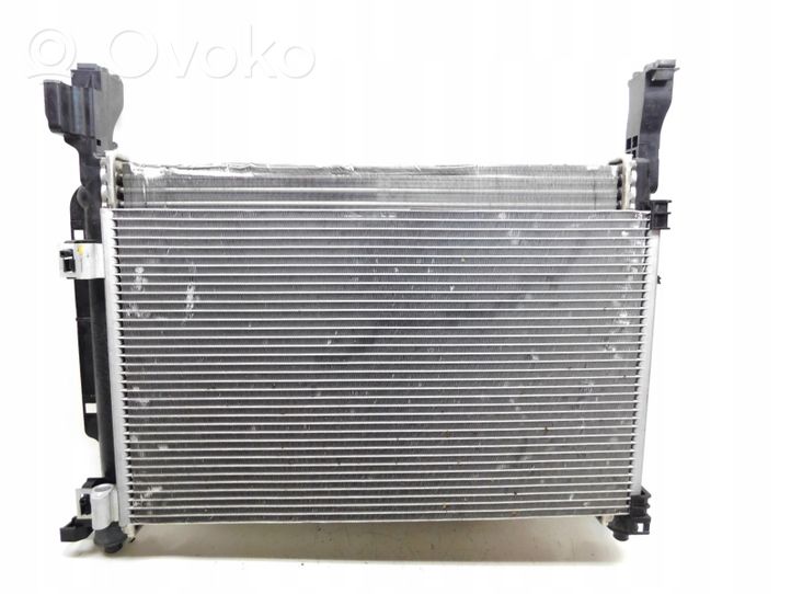 Renault Kangoo II Kit Radiateur 820041832