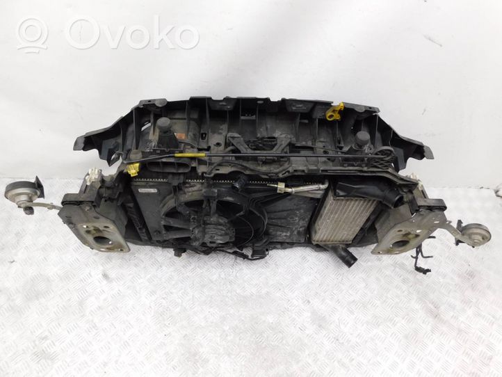 Ford Ecosport Priekinis sustiprinimas bamperio CN1516E146AK1