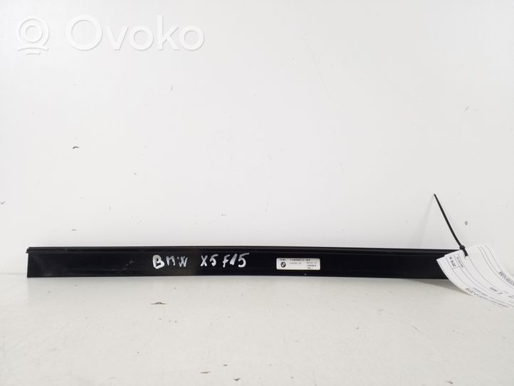 BMW X5 F15 Rear door windshield rail 7289671