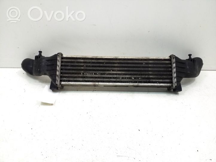 Mercedes-Benz CLK A208 C208 Intercooler radiator A2025001100