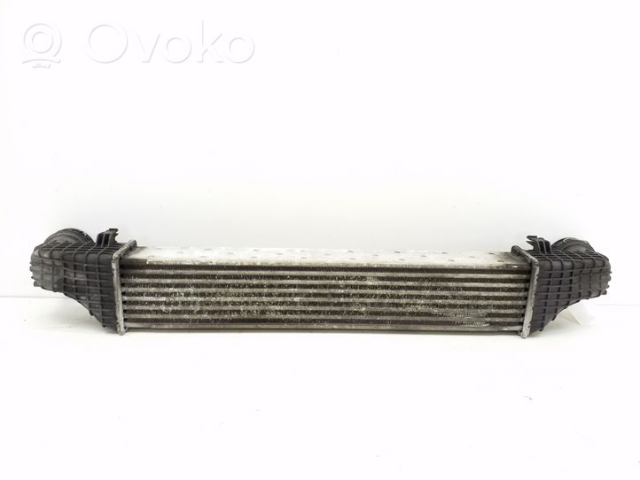 Mercedes-Benz CLS C219 Chłodnica powietrza doładowującego / Intercooler A2115003902