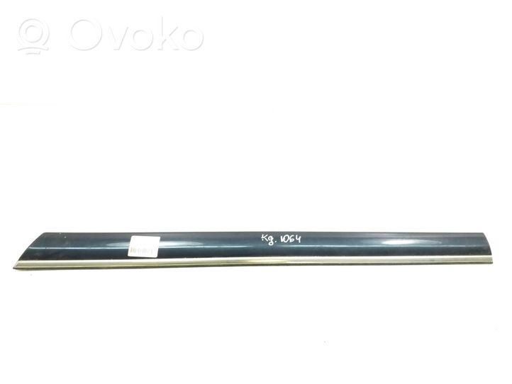 Mercedes-Benz S W220 Rivestimento portiera posteriore (modanatura) A2206901362