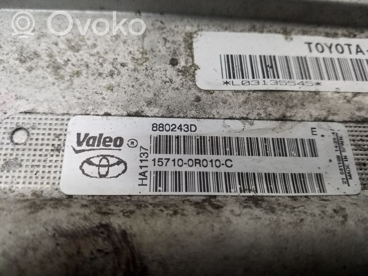 Toyota Verso Supporto di montaggio del filtro dell’olio 157100R010