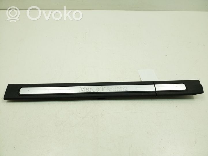 Mercedes-Benz B W245 Front sill trim cover A1696801174