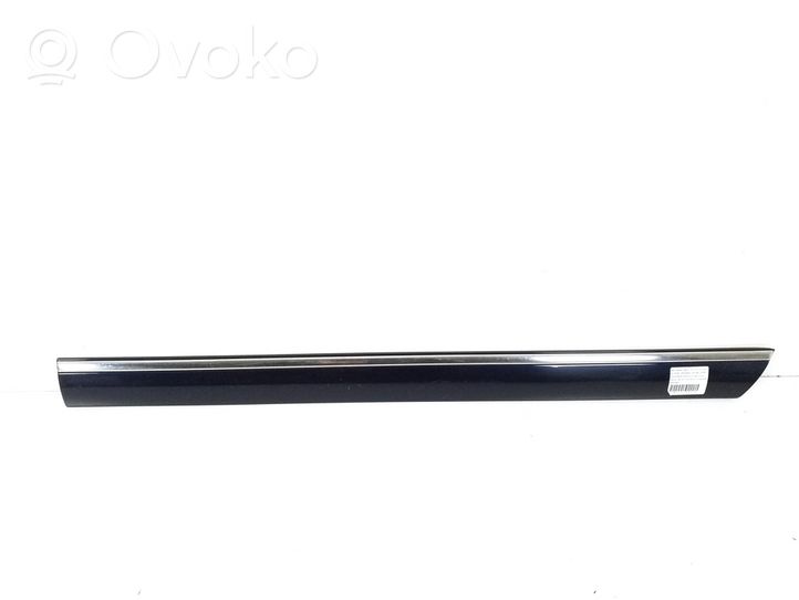 Mercedes-Benz S W220 Rear door trim (molding) A2206901362