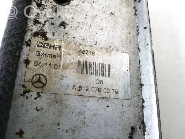 Mercedes-Benz E W210 Radiatore opzionale A6120700079