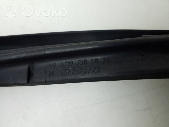 Mercedes-Benz CLS C219 Rear door rubber seal (on body) A2197300878