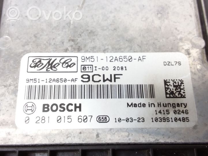 Ford Focus Sterownik / Moduł ECU 0281015607