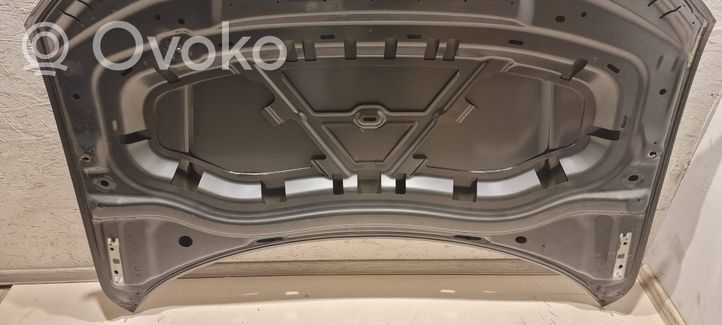 Volkswagen Tiguan Vano motore/cofano 5NA823155