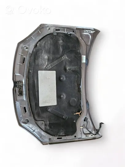 Volkswagen Jetta V Engine bonnet/hood 3B4D3W9AK