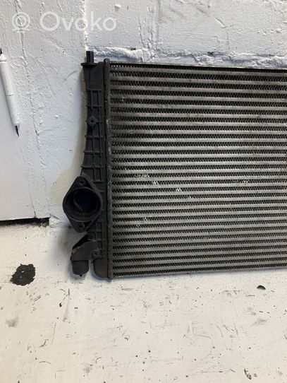 Seat Alhambra (Mk1) Radiatore intercooler 