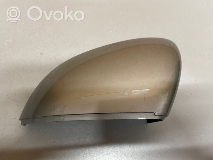 Volkswagen Golf VIII Miroir de rétroviseur de porte avant 23383021T