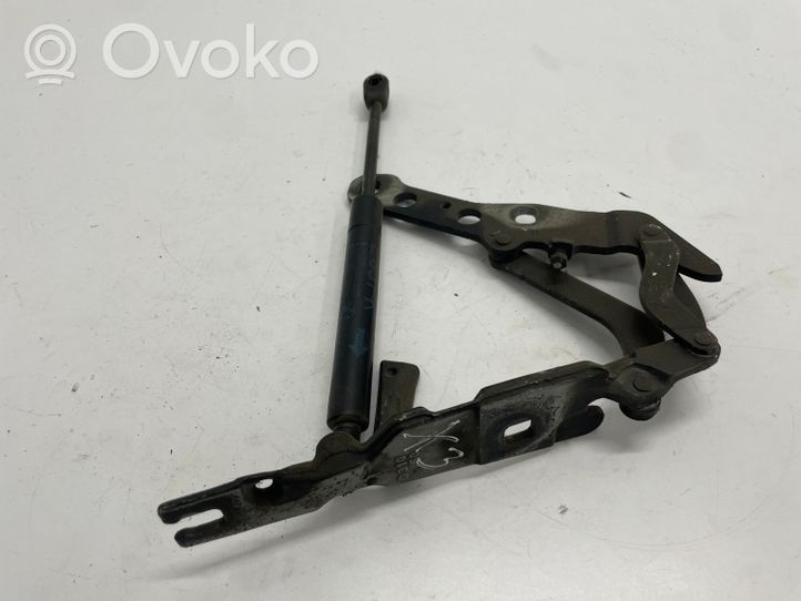 BMW X3 E83 Cerniere del vano motore/cofano 3411448