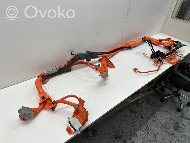 Toyota RAV 4 (XA50) Other wiring loom 821H142032