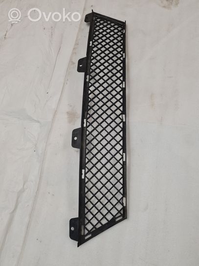 BMW Z4 E89 Front bumper lower grill 7203790