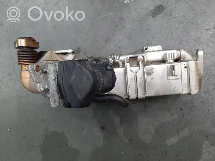 BMW 5 F10 F11 EGR aušintuvas 7823210