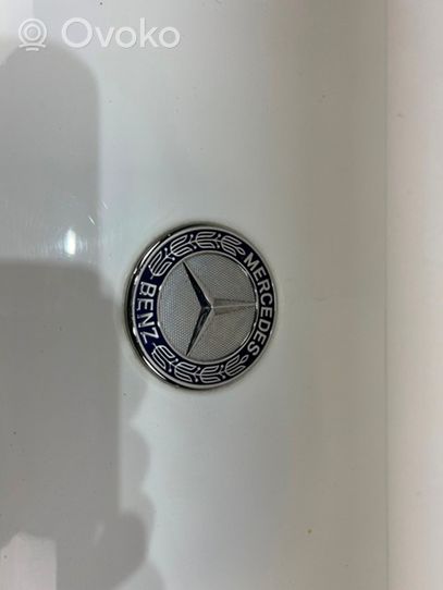 Mercedes-Benz Citan W415 Moulure de pare-chocs avant 