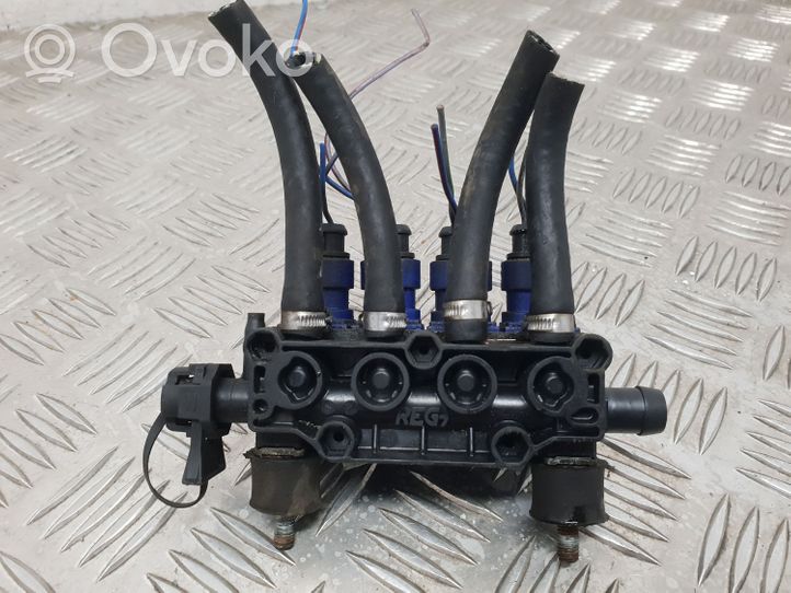 Peugeot 307 Injecteur GPL 67R010199