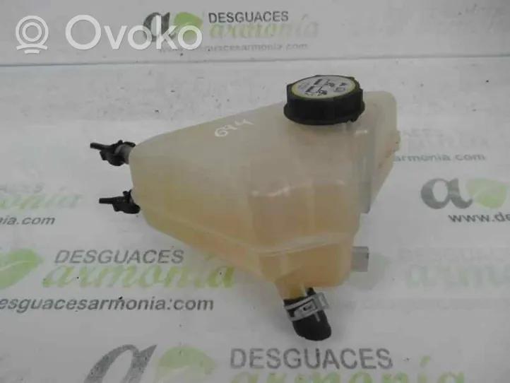 Ford Fiesta Vaso di espansione carburante 8V218K218B