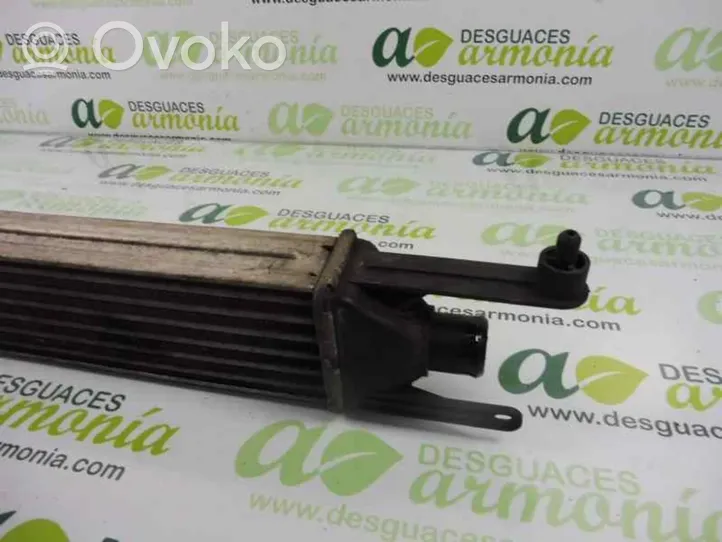 Fiat Grande Punto Chłodnica powietrza doładowującego / Intercooler 