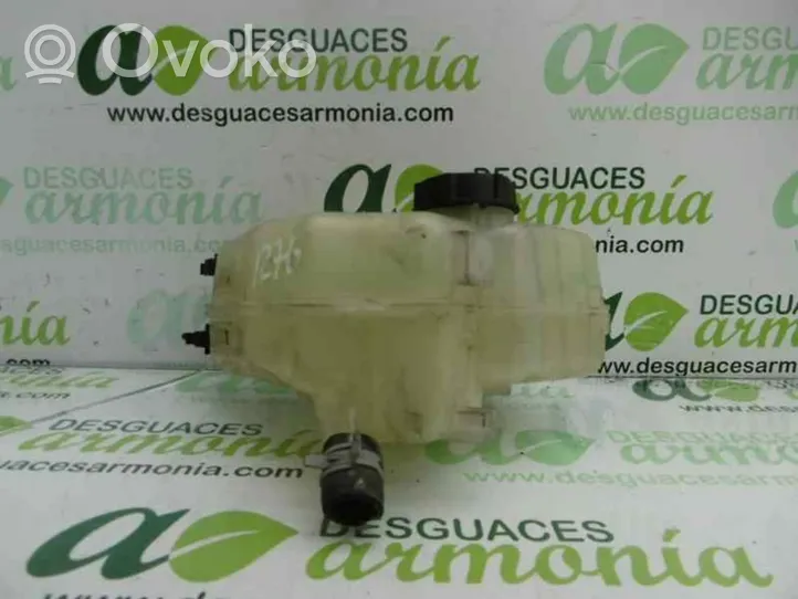 Ford Fiesta Vaso di espansione carburante 8V218K218