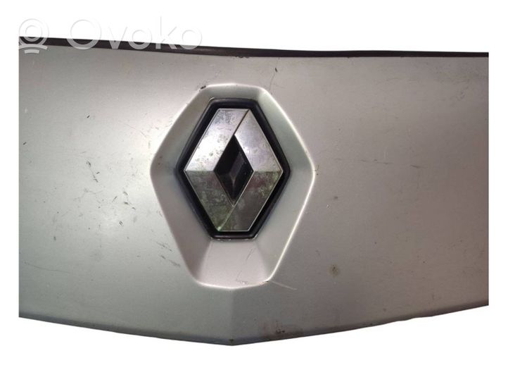 Renault Kangoo II Rivestimento portiera posteriore (modanatura) 8200499017