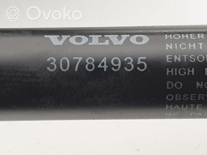 Volvo XC60 Ammortizzatore portellone anteriore/cofano 30784935