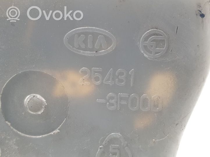 KIA Opirus Jäähdytysnesteen paisuntasäiliö 254313F000