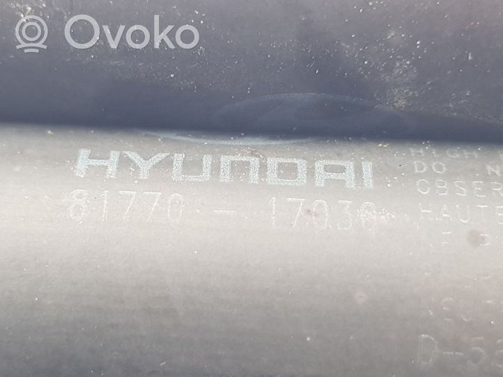 Hyundai Matrix Amortizatorius galinio dangčio 8177017030