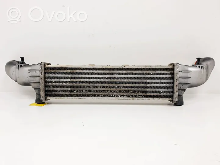 Mercedes-Benz CLK A208 C208 Chłodnica powietrza doładowującego / Intercooler A2025001100