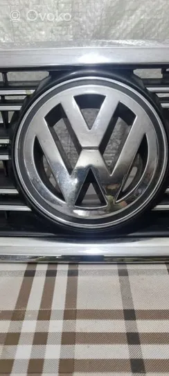 Volkswagen Phaeton Griglia superiore del radiatore paraurti anteriore 