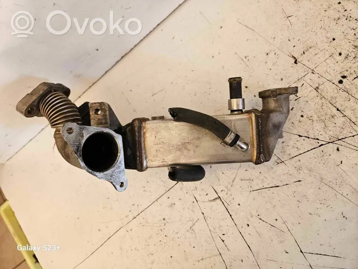 BMW X1 E84 Valvola di raffreddamento EGR 7810166