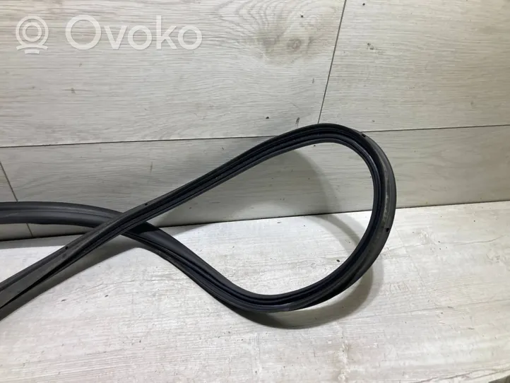 Volkswagen Beetle A5 Trunk rubber seal (body) 