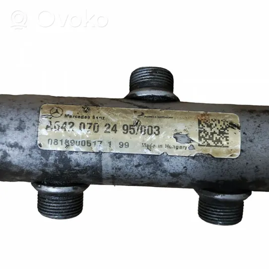 Jeep Grand Cherokee (WK) Tuyau de conduite principale de carburant A6420702495