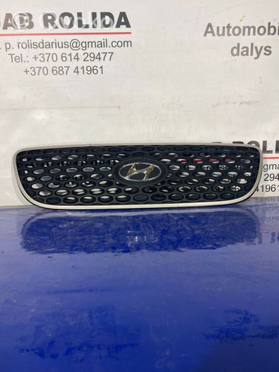 Hyundai Terracan Etusäleikkö 86252H1500