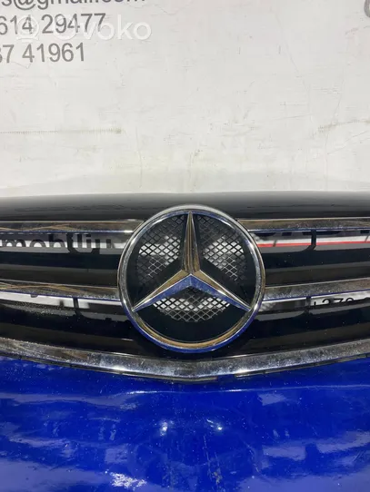 Mercedes-Benz B W245 Grotelės viršutinės A1698800883