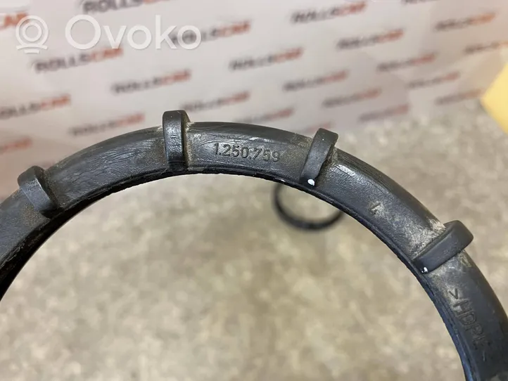 Mercedes-Benz C W203 Anello/dado di bloccaggio della vite della pompa del carburante nel serbatoio 1250759