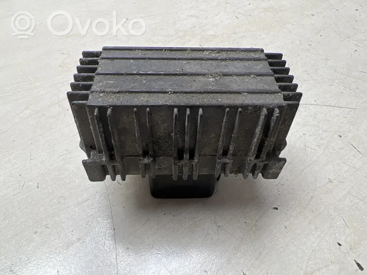 Volkswagen PASSAT B6 Przekaźnik / Modul układu ogrzewania wstępnego 09132691