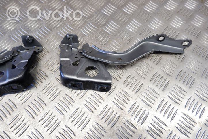 Toyota Highlander XU70 Cerniere del vano motore/cofano 534200E190