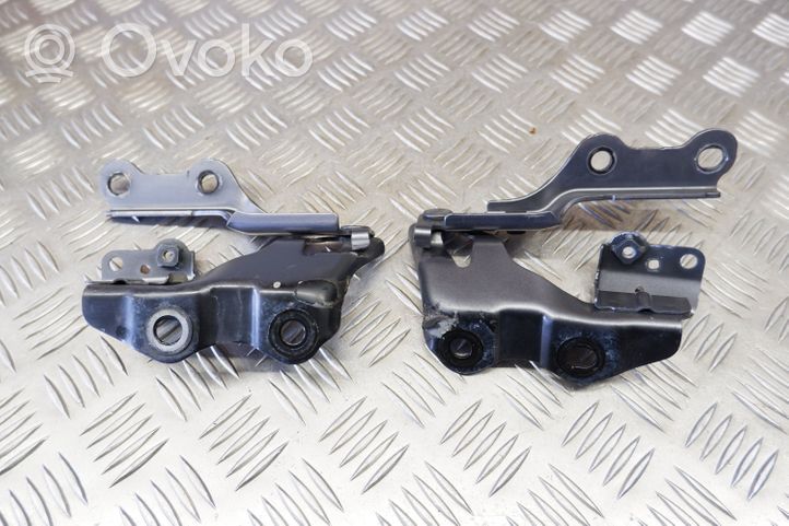 Lexus GS 250 350 300H 450H Cerniere del vano motore/cofano 5342030460