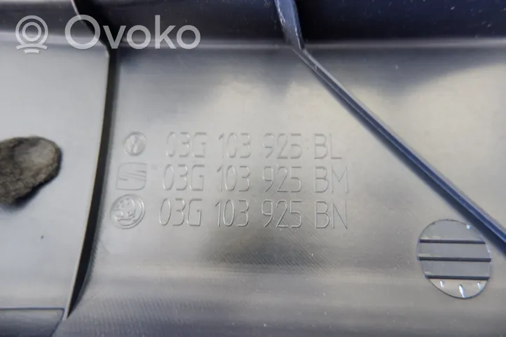 Skoda Octavia Mk2 (1Z) Cubierta del motor (embellecedor) 03G103925BL