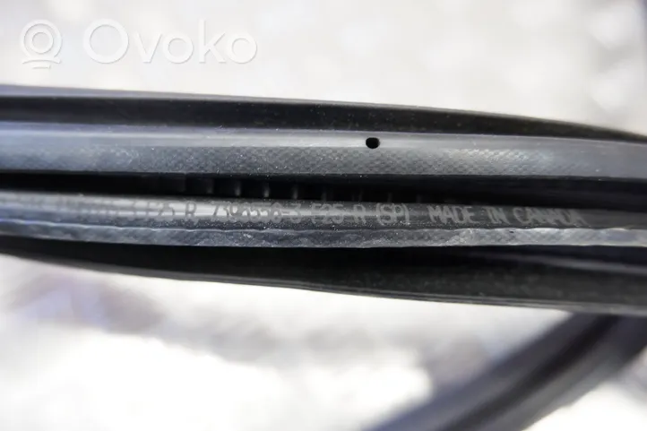 BMW X3 F25 Rubber seal rear door 7396556