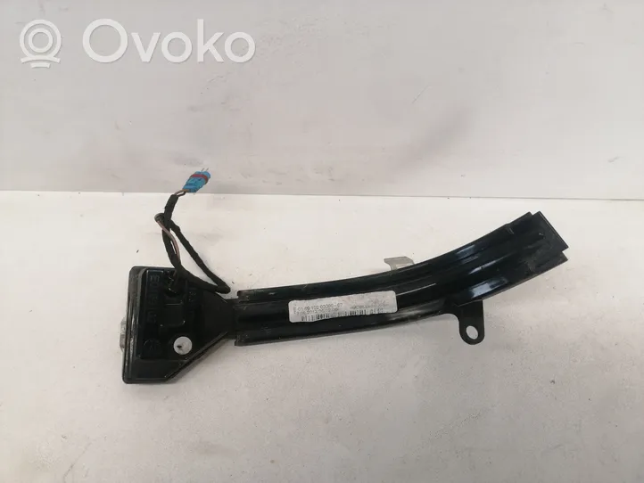 BMW 7 F01 F02 F03 F04 Mirror indicator light E0169102