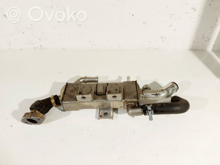 Chrysler Pacifica EGR-venttiili/lauhdutin 05281255AK