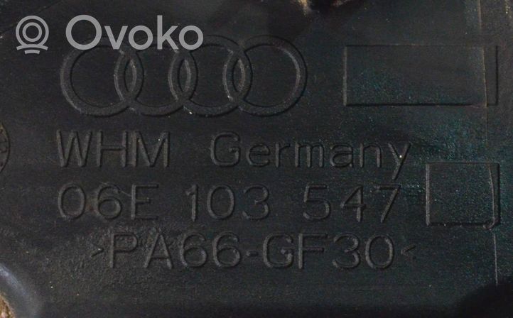 Audi Q5 SQ5 Tepalo paėmimo vamzdelis (karteryje) 06E103547