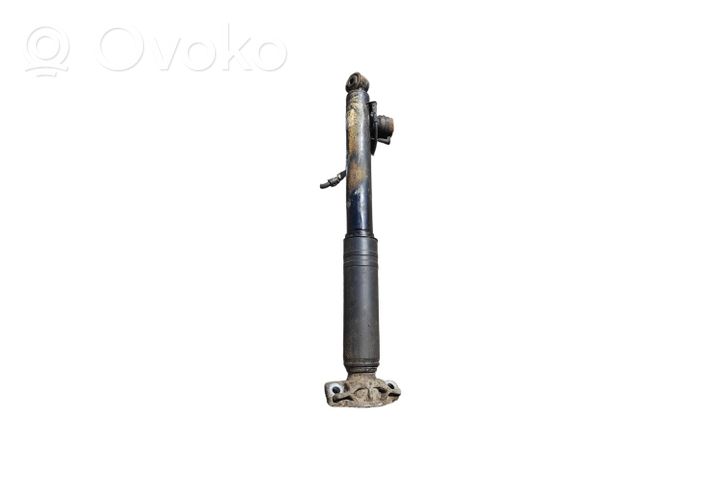 Opel Zafira C Rear shock absorber/damper 314801718