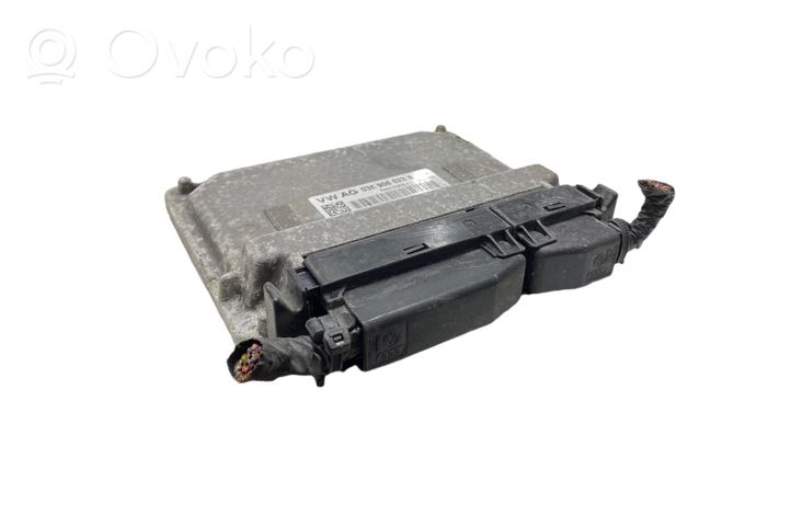 Skoda Octavia Mk2 (1Z) Sterownik / Moduł ECU 03E906023B